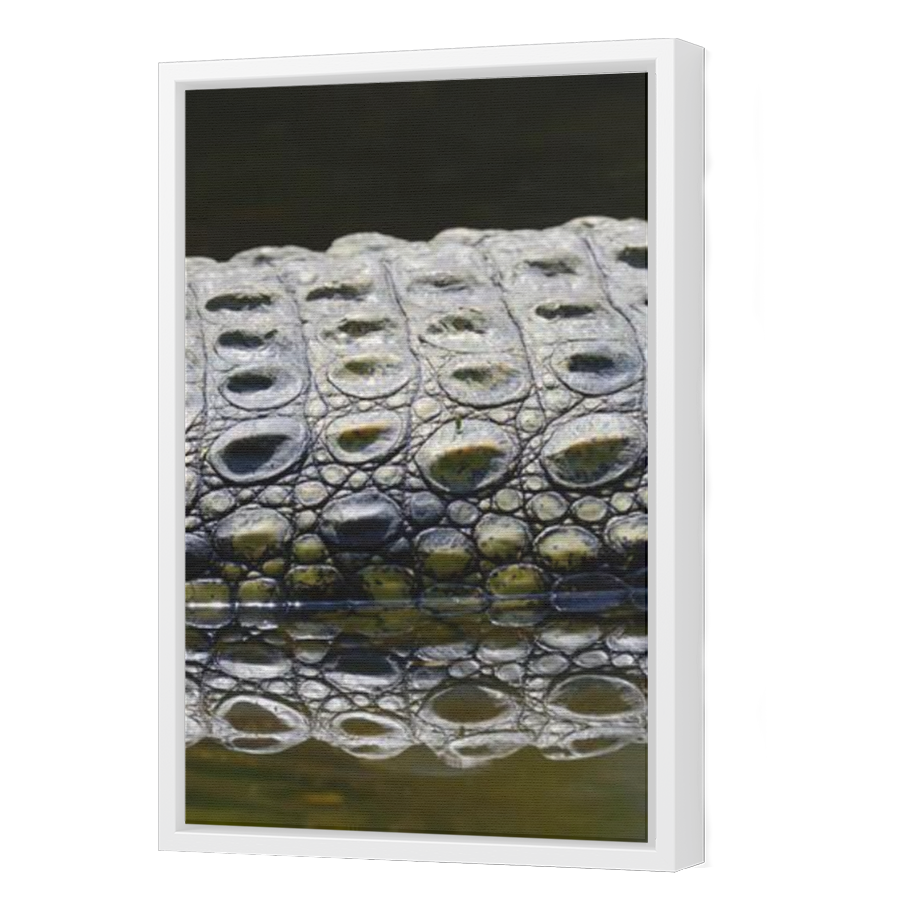 Thumbnail for Canvas - White Floating Frame
