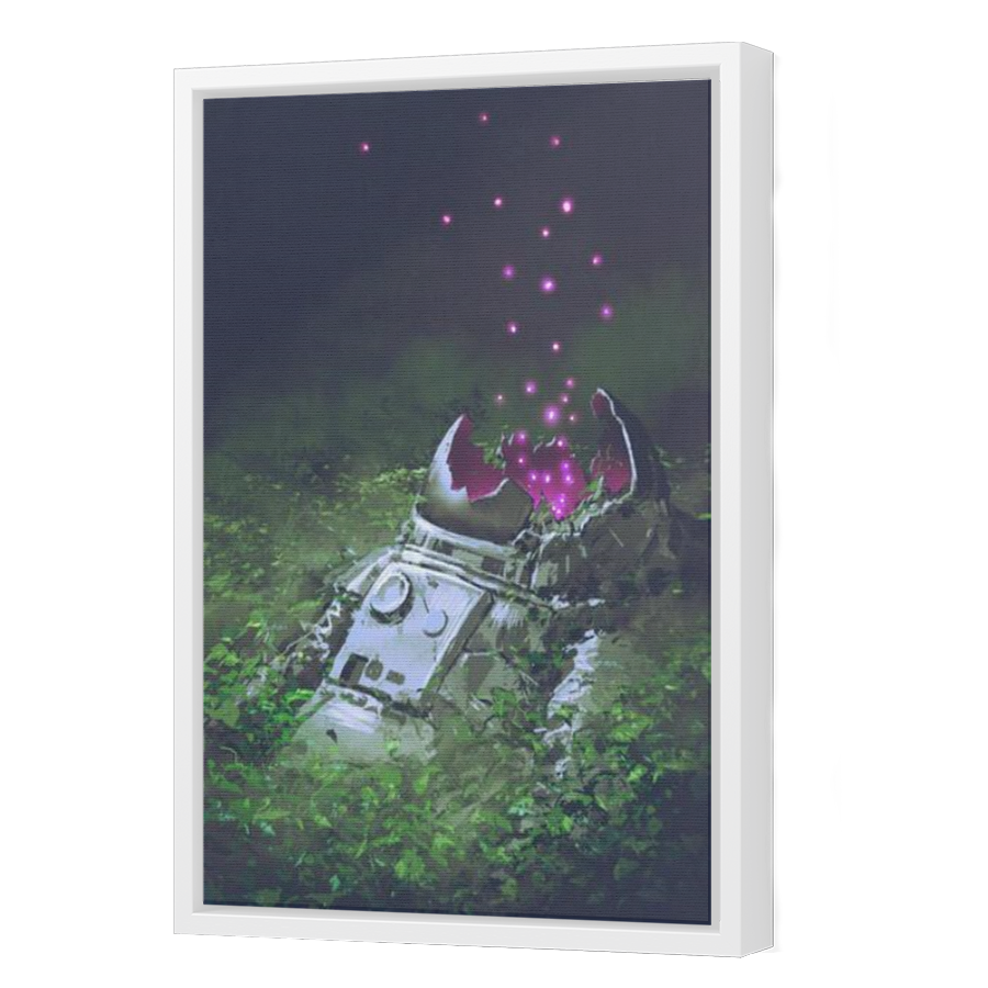 Thumbnail for Canvas - White Floating Frame