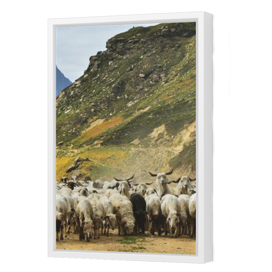 Thumbnail for Canvas - White Floating Frame