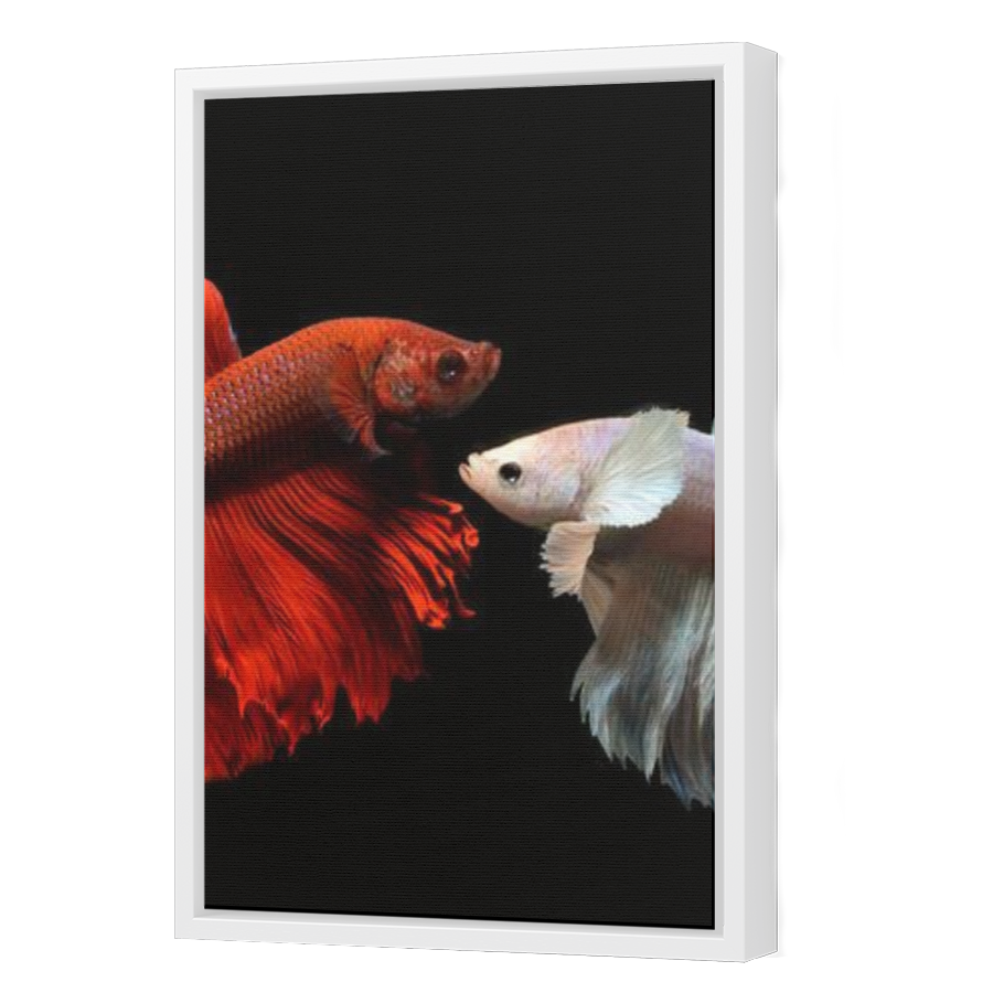 Thumbnail for Canvas - White Floating Frame