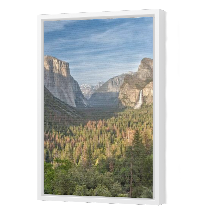 Thumbnail for Canvas - White Floating Frame