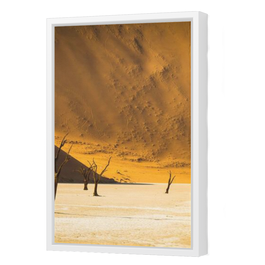 Thumbnail for Canvas - White Floating Frame