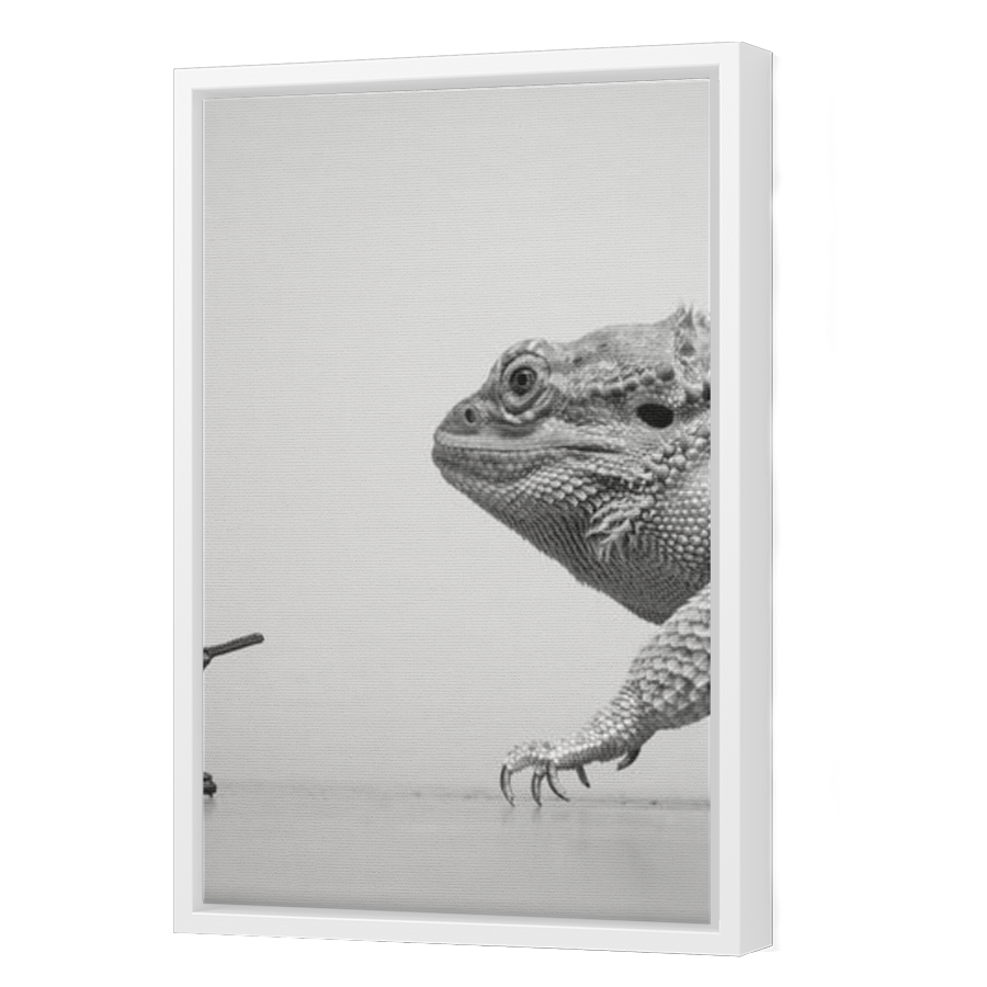 Thumbnail for Canvas - White Floating Frame