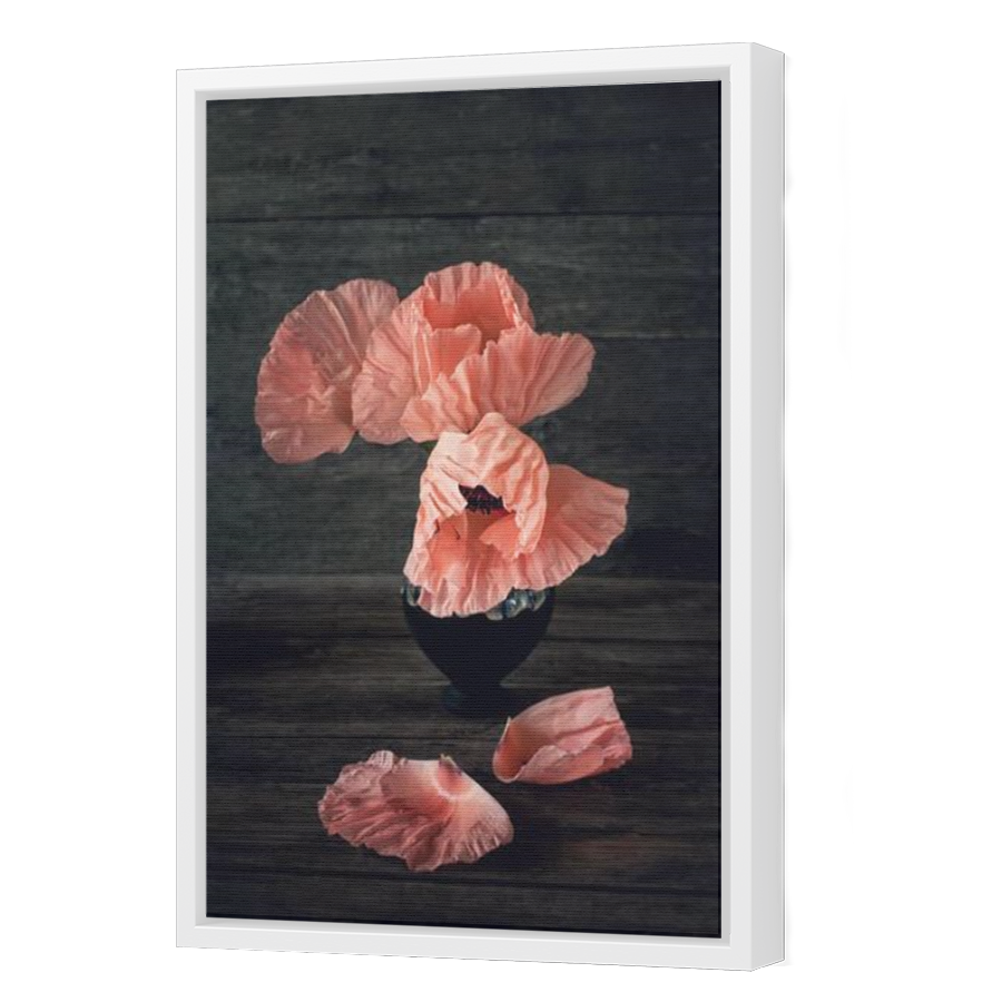 Thumbnail for Canvas - White Floating Frame