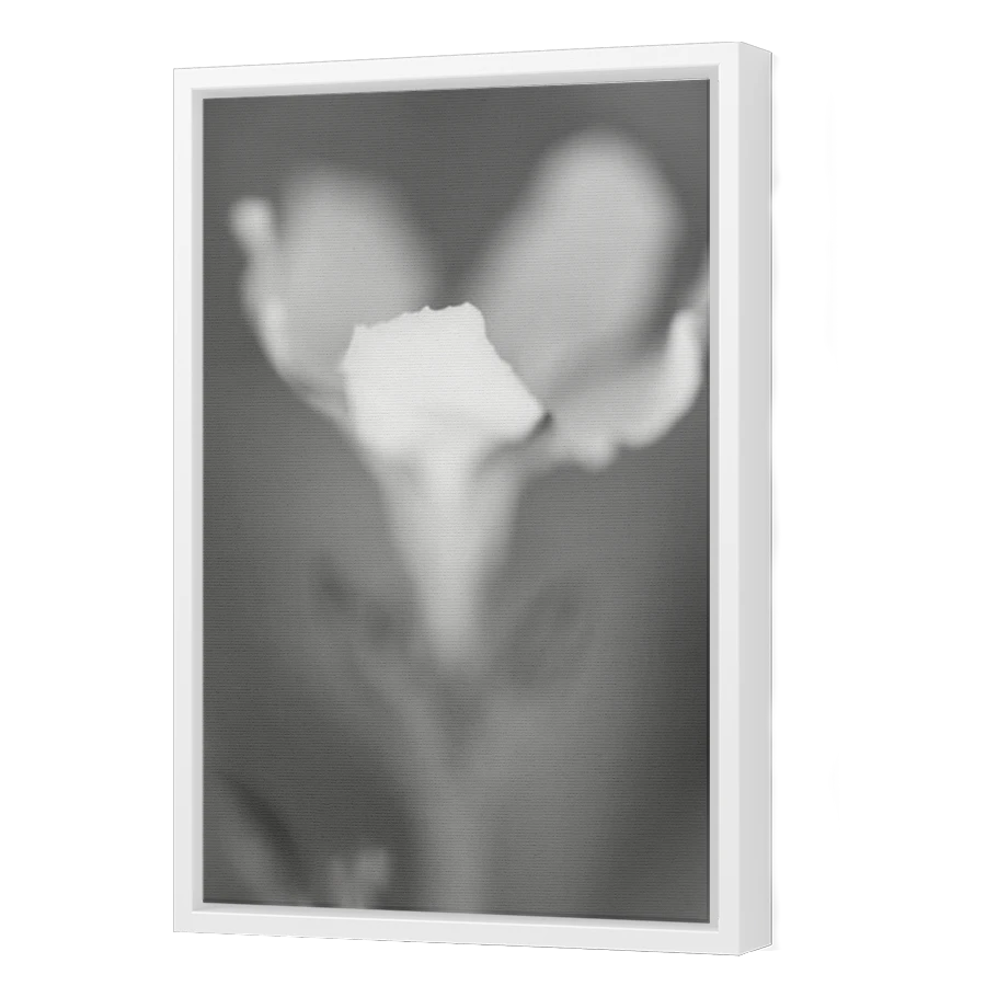 Thumbnail for Canvas - White Floating Frame