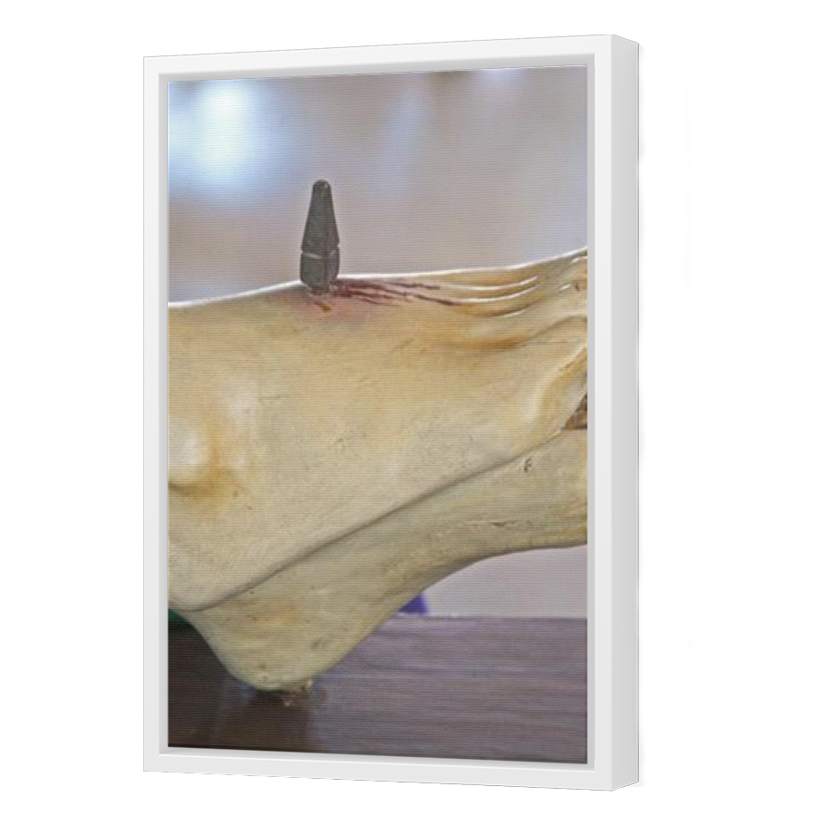 Thumbnail for Canvas - White Floating Frame
