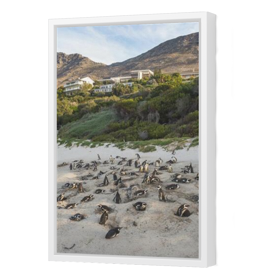 Thumbnail for Canvas - White Floating Frame