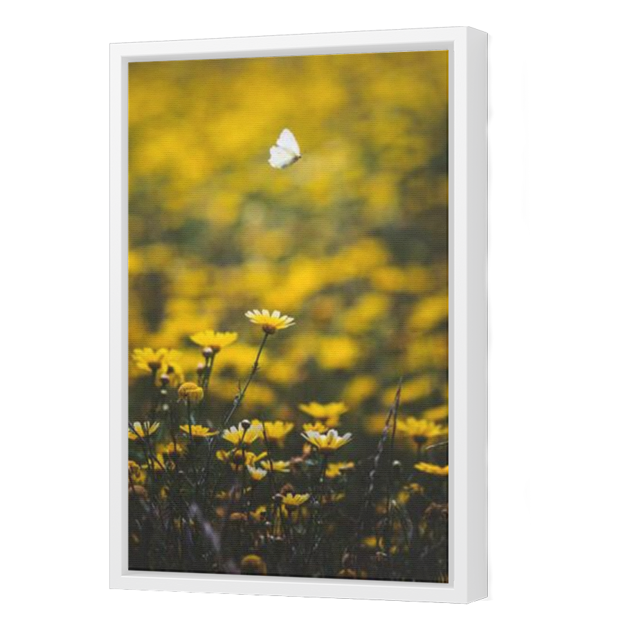 Thumbnail for Canvas - White Floating Frame