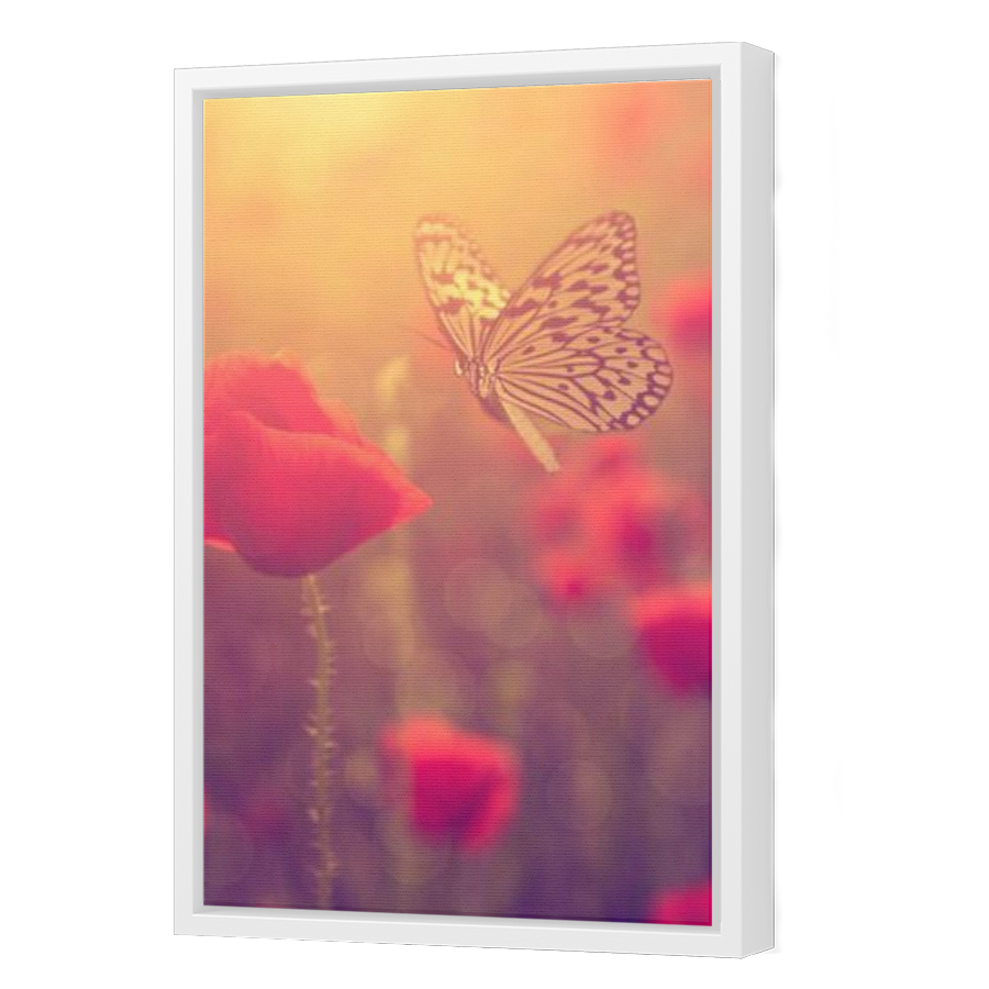 Thumbnail for Canvas - White Floating Frame