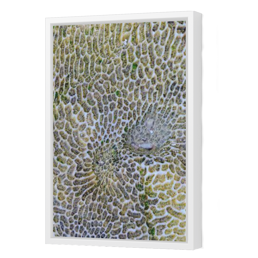 Thumbnail for Canvas - White Floating Frame