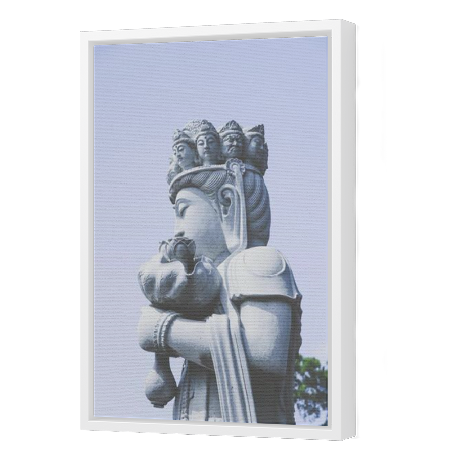 Thumbnail for Canvas - White Floating Frame