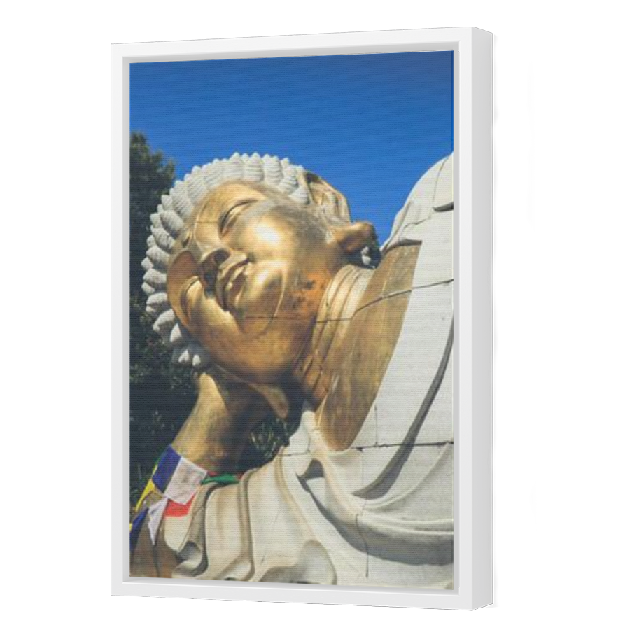 Thumbnail for Canvas - White Floating Frame