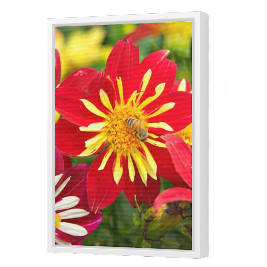 Thumbnail for Canvas - White Floating Frame