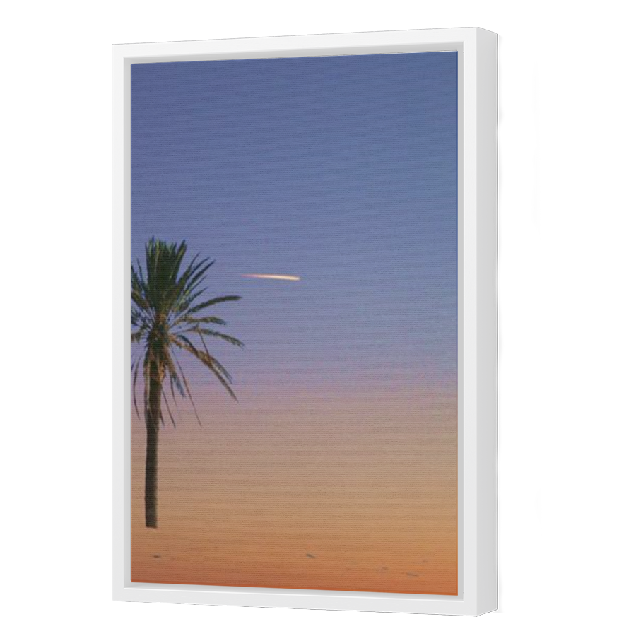 Thumbnail for Canvas - White Floating Frame