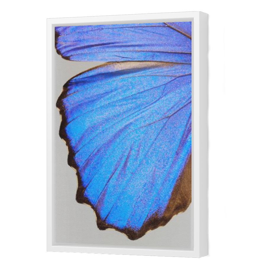 Thumbnail for Canvas - White Floating Frame