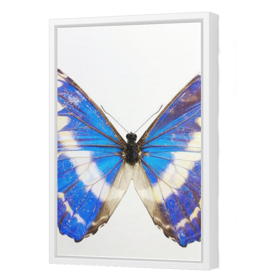 Thumbnail for Canvas - White Floating Frame