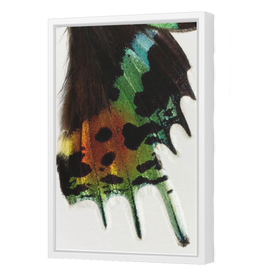 Thumbnail for Canvas - White Floating Frame