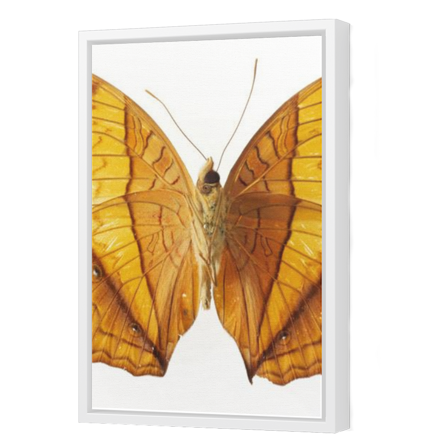 Thumbnail for Canvas - White Floating Frame