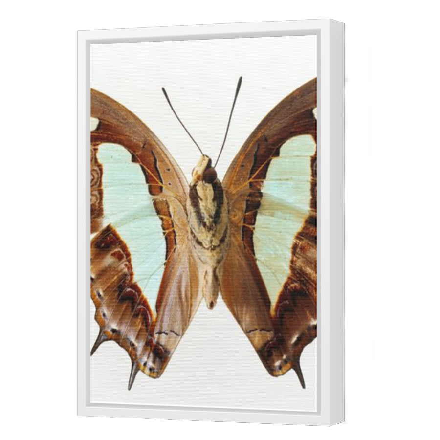 Thumbnail for Canvas - White Floating Frame