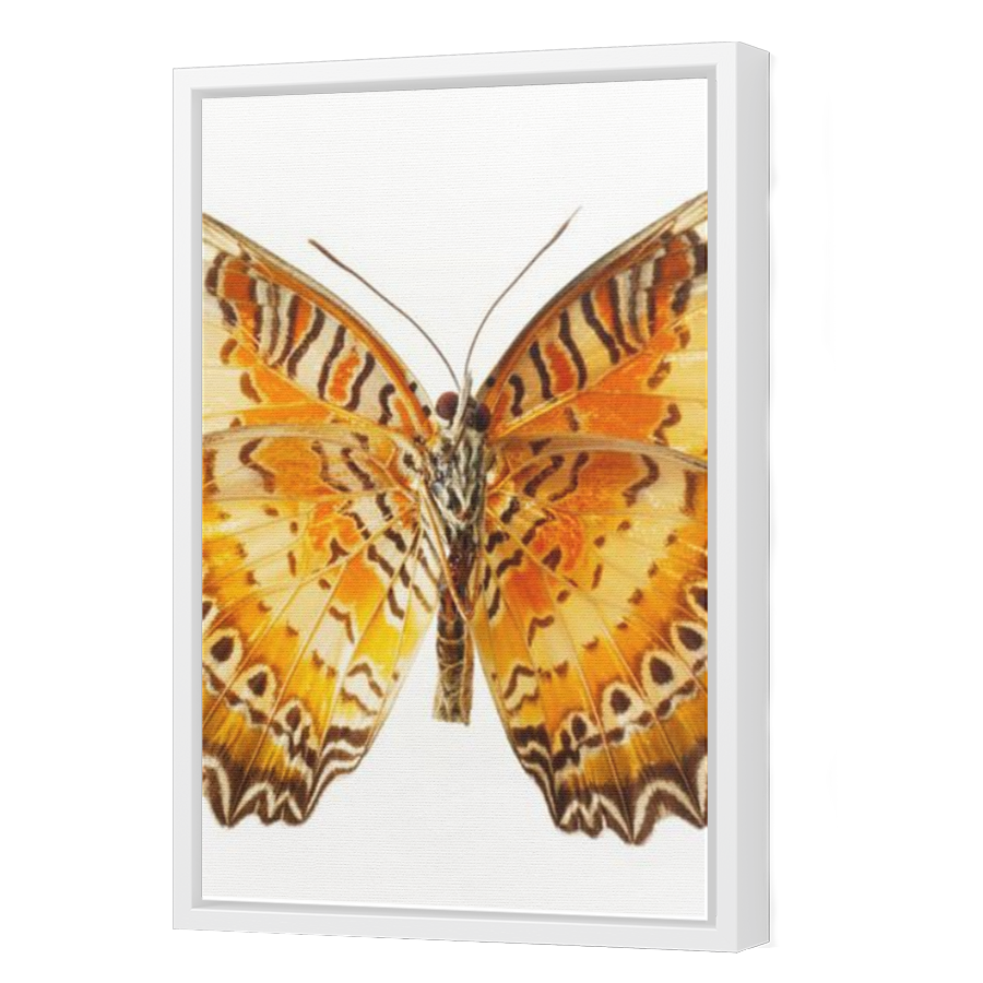 Thumbnail for Canvas - White Floating Frame