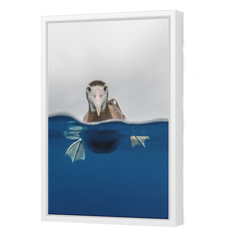 Thumbnail for Canvas - White Floating Frame