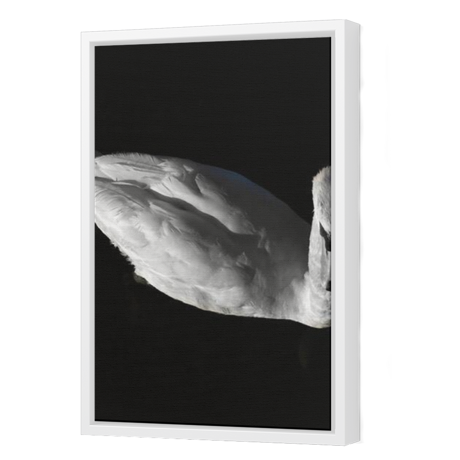 Thumbnail for Canvas - White Floating Frame