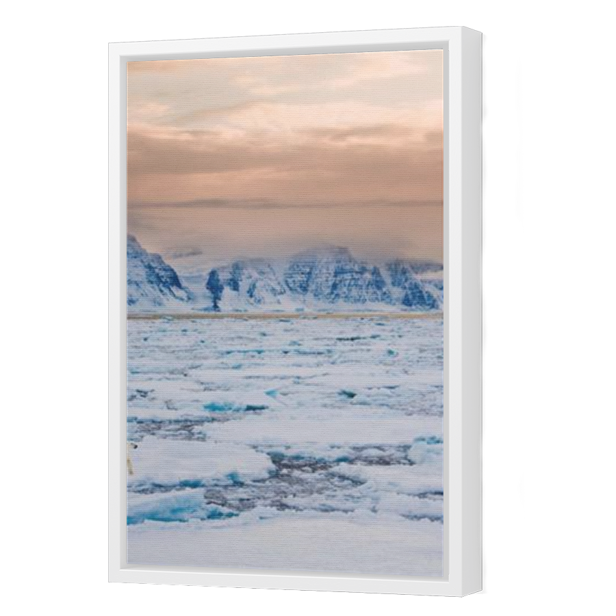 Thumbnail for Canvas - White Floating Frame