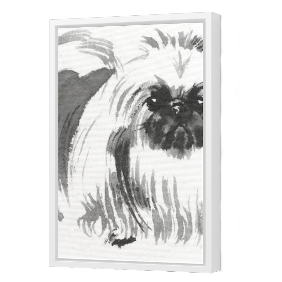 Thumbnail for Canvas - White Floating Frame
