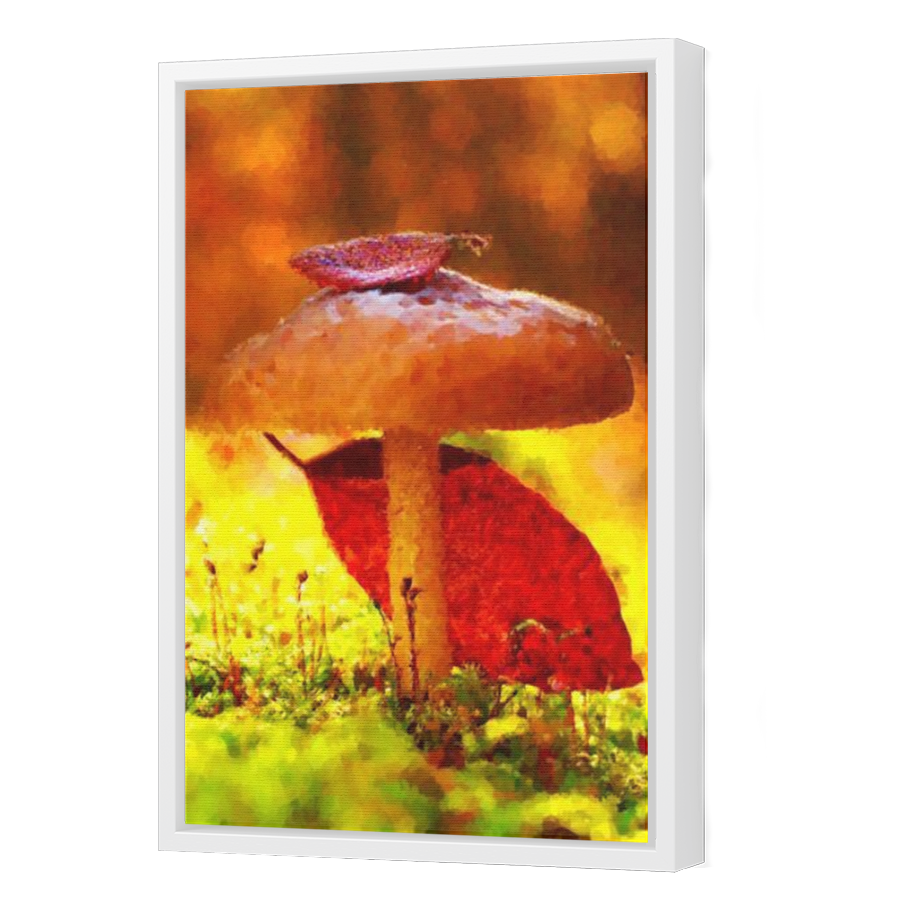 Thumbnail for Canvas - White Floating Frame