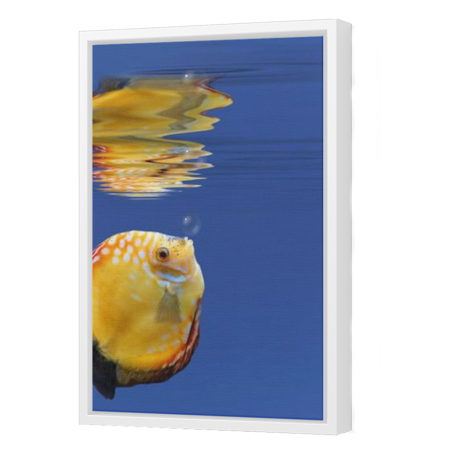 Thumbnail for Canvas - White Floating Frame