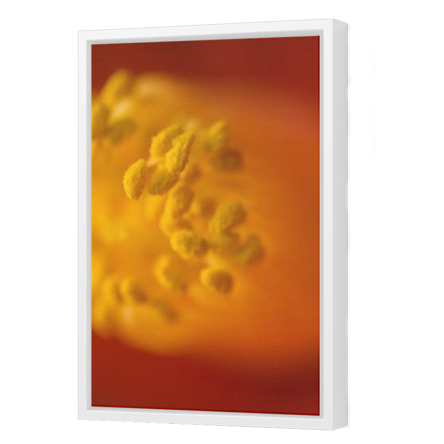 Thumbnail for Canvas - White Floating Frame