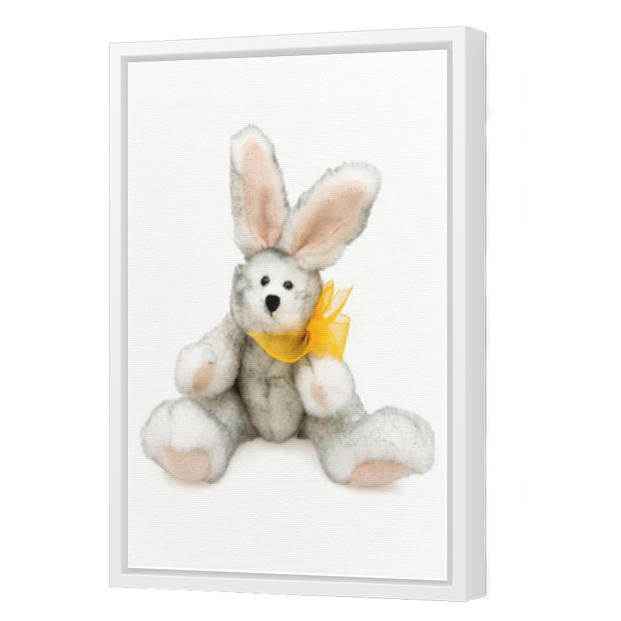 Thumbnail for Canvas - White Floating Frame