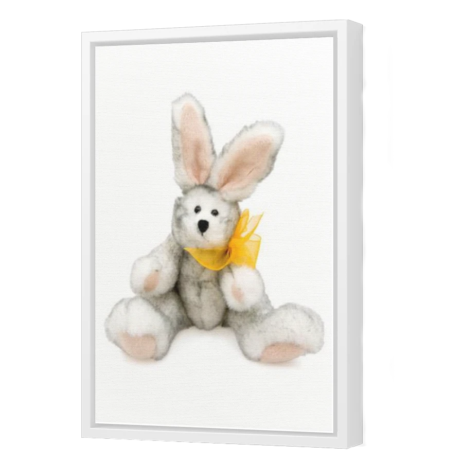 Thumbnail for Canvas - White Floating Frame
