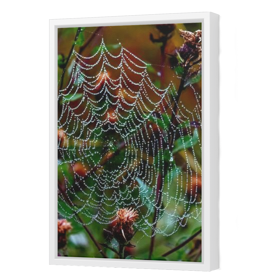 Thumbnail for Canvas - White Floating Frame
