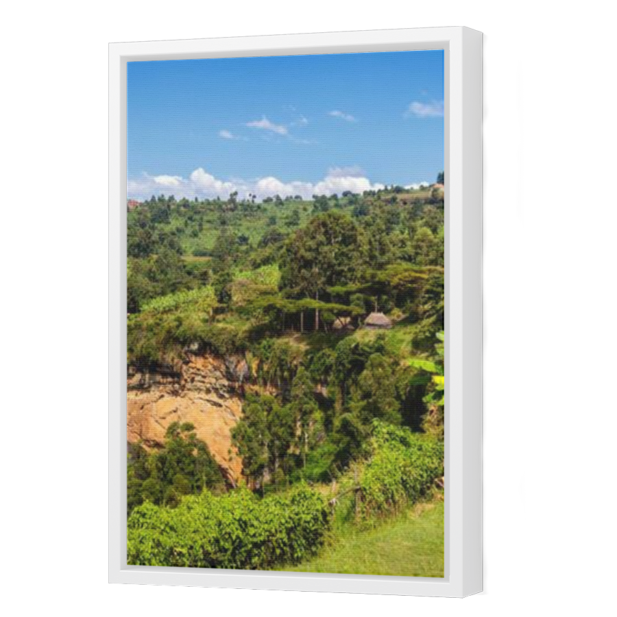 Thumbnail for Canvas - White Floating Frame