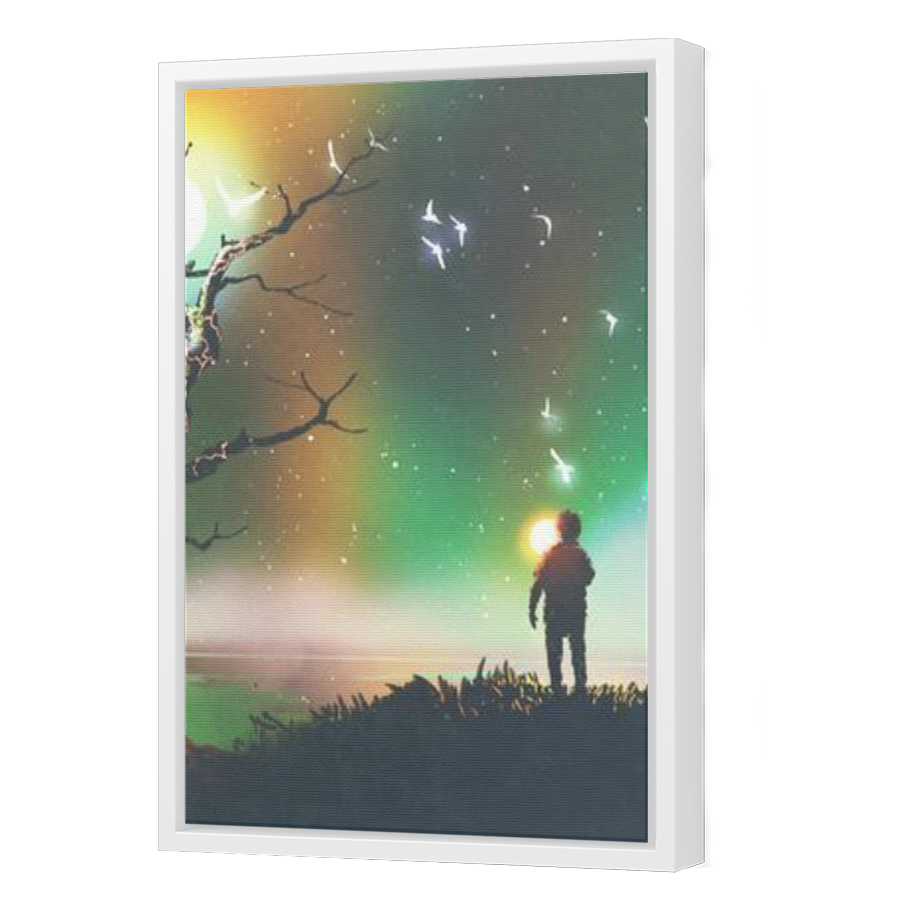 Thumbnail for Canvas - White Floating Frame