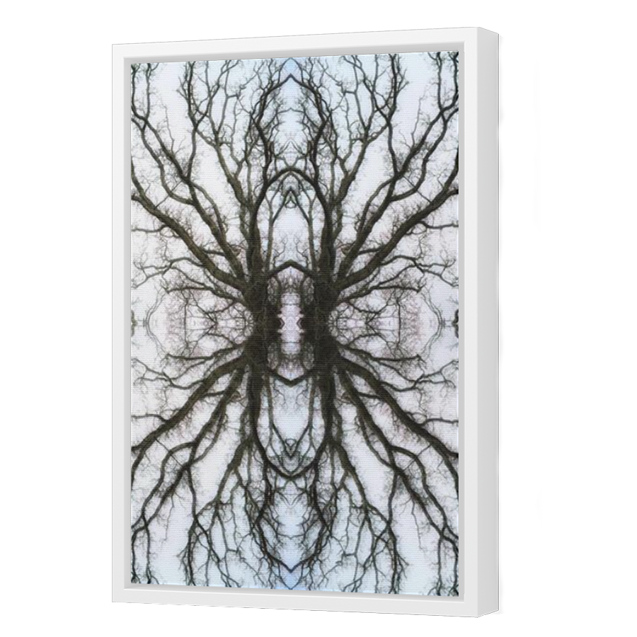 Thumbnail for Canvas - White Floating Frame