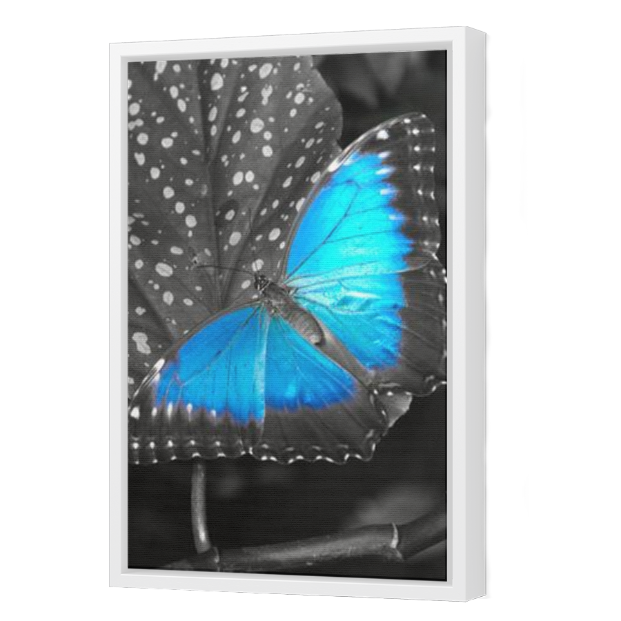Thumbnail for Canvas - White Floating Frame