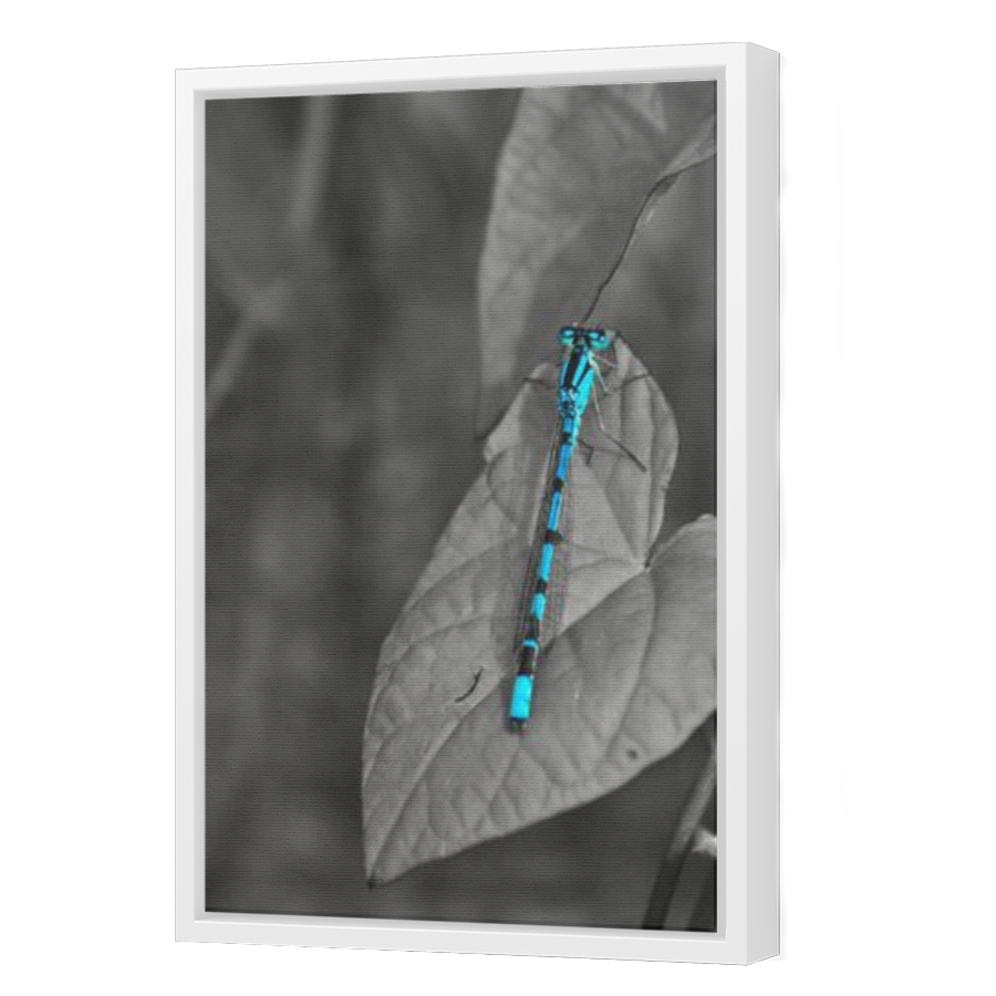 Thumbnail for Canvas - White Floating Frame