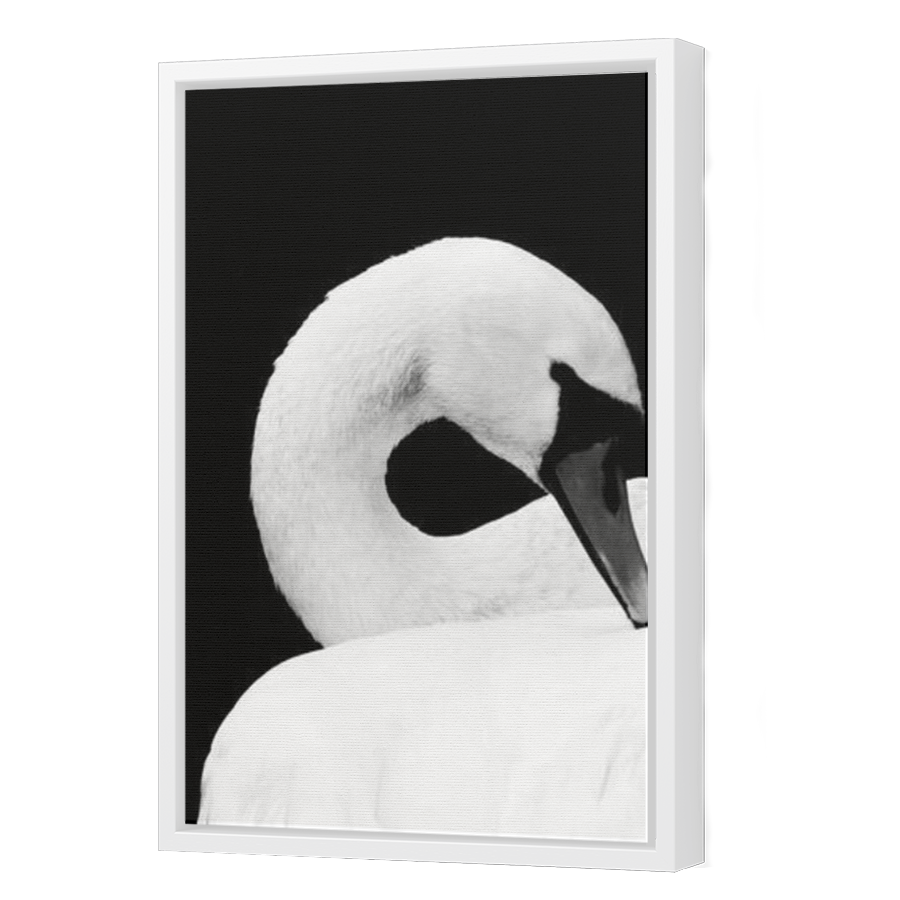 Thumbnail for Canvas - White Floating Frame