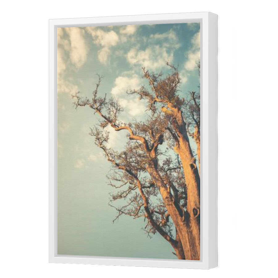 Thumbnail for Canvas - White Floating Frame