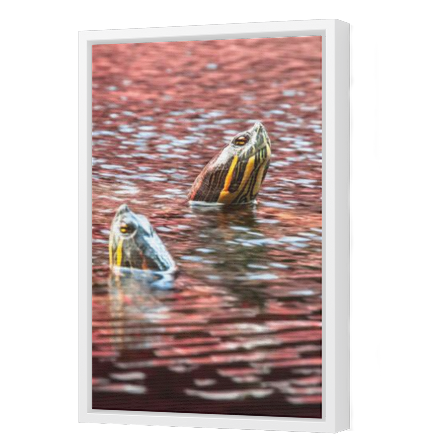 Thumbnail for Canvas - White Floating Frame