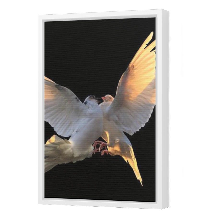 Thumbnail for Canvas - White Floating Frame