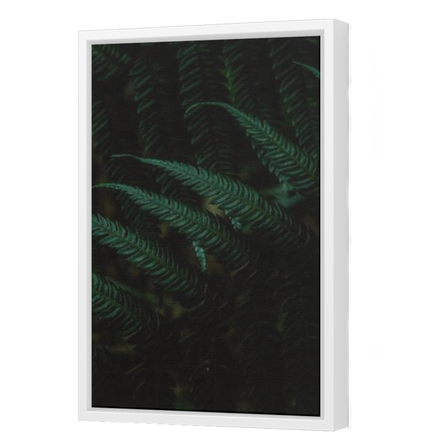 Thumbnail for Canvas - White Floating Frame