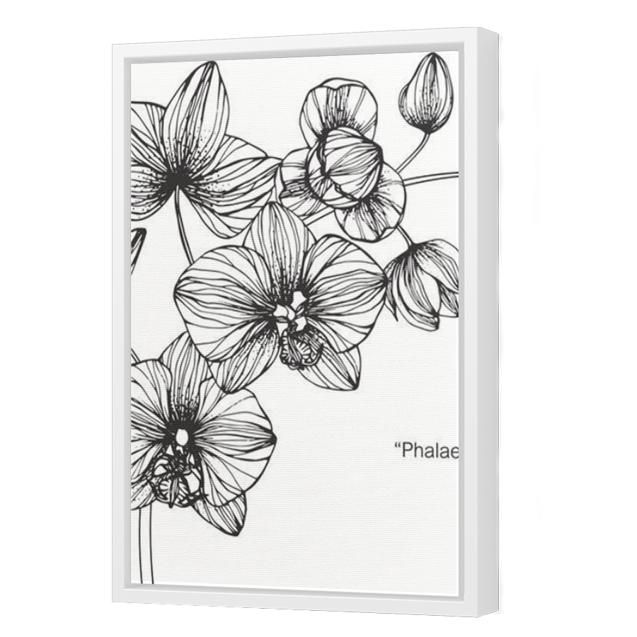 Thumbnail for Canvas - White Floating Frame