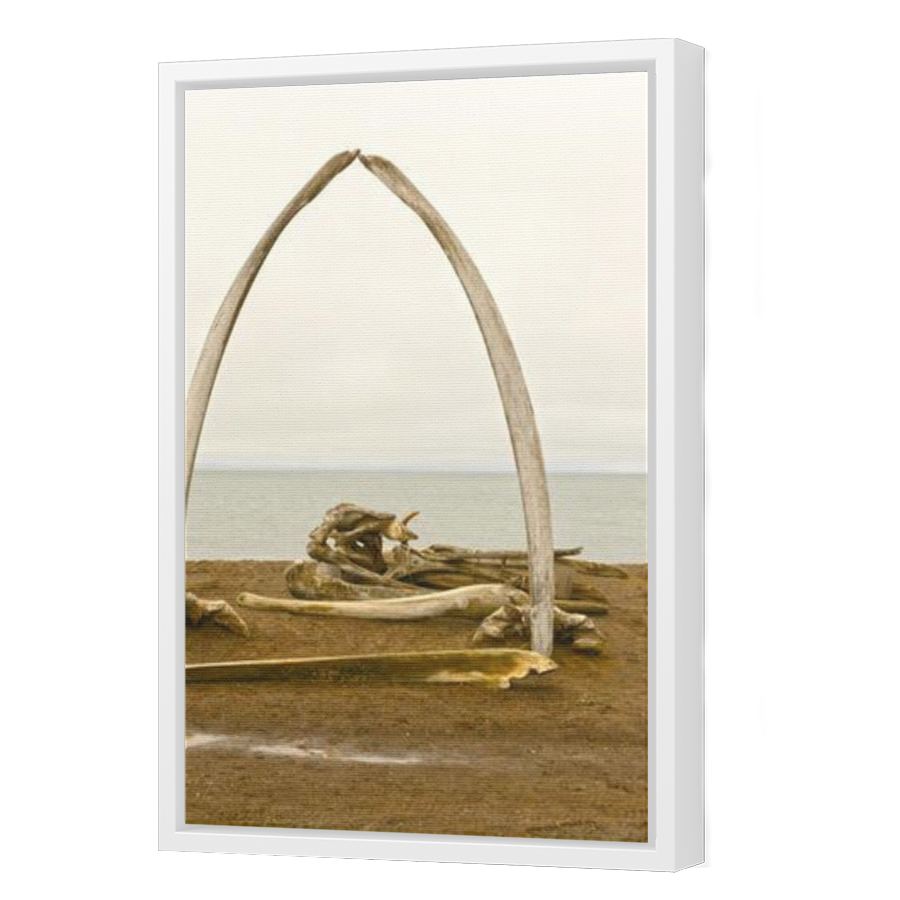 Thumbnail for Canvas - White Floating Frame