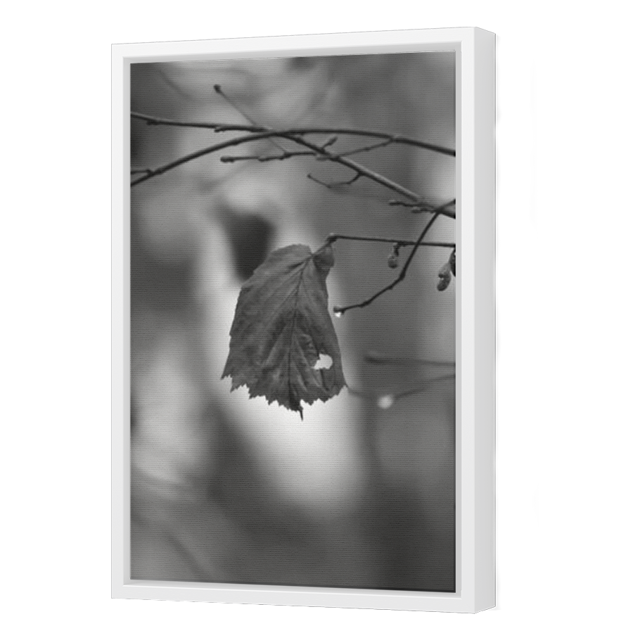 Thumbnail for Canvas - White Floating Frame