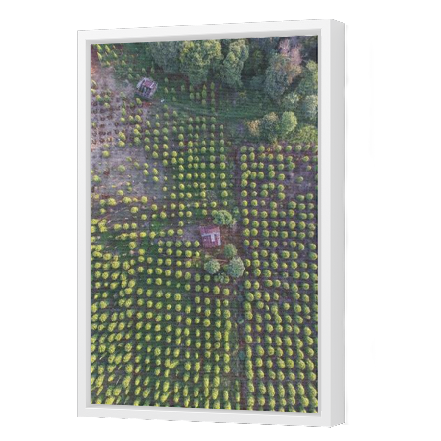 Thumbnail for Canvas - White Floating Frame