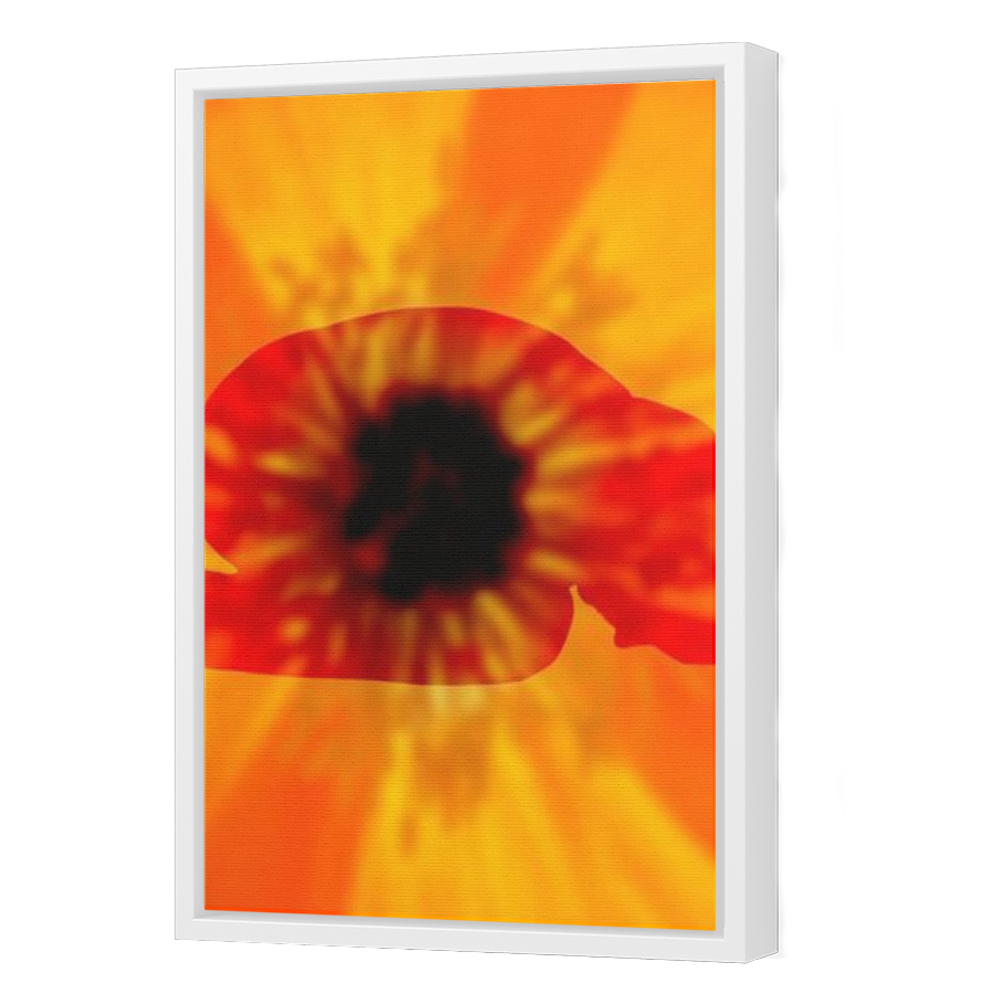 Thumbnail for Canvas - White Floating Frame