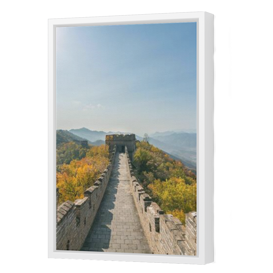 Thumbnail for Canvas - White Floating Frame